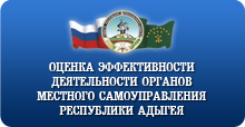 Оценка эффективности органов местного самоуправления 