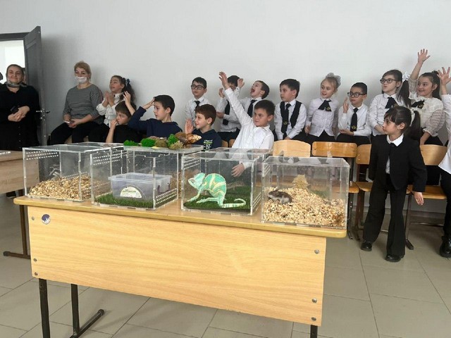 foto 2024 02 13 13 24 002