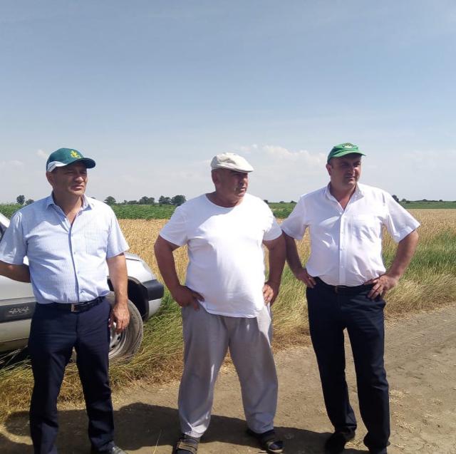shovgenovskyi raion 65280369 337036140323543 492408666038676698 n
