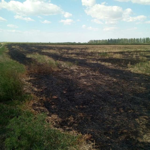 shovgenovskyi raion 38769459 2235396140021517 5821721744733372416 n