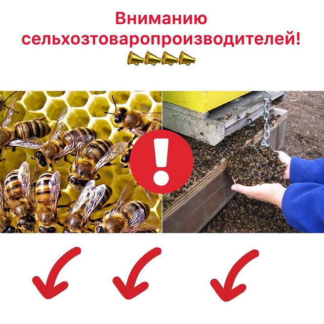 shovgenovskyi raion 55944164 137830920677172 6747481364084404738 n