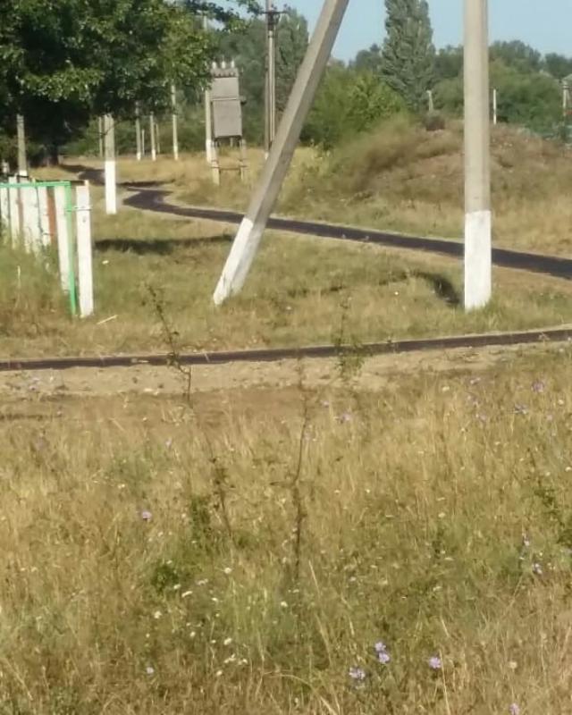 shovgenovskyi raion 38254393 572385083180502 8003061129574088704 n