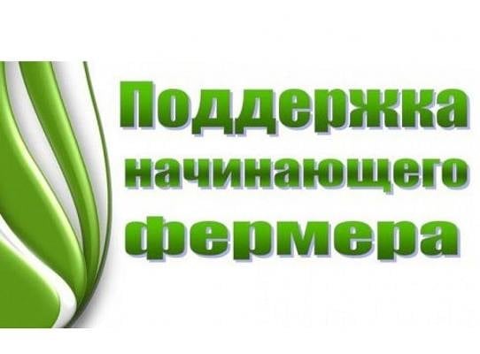 shovgenovskyi raion 42002998 241399719874541 125449959737255256 n