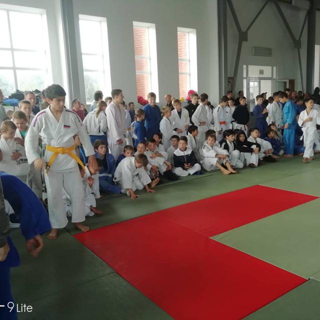shovgenovskyi raion 42331031 270378560479297 2972094272161819580 n