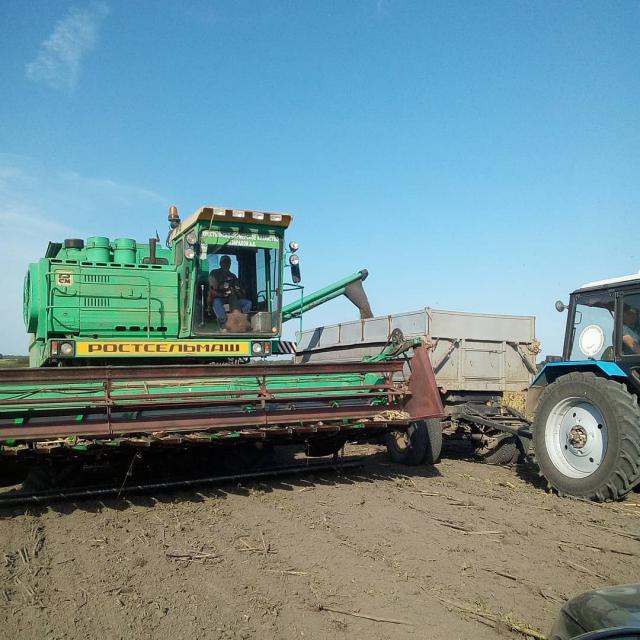shovgenovskyi raion 42451513 135700990723395 7623675636293458069 n
