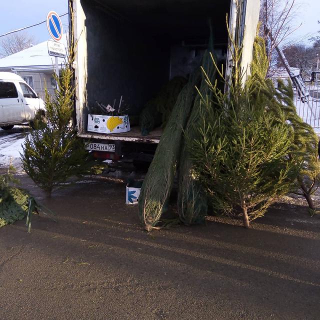 shovgenovskyi raion 47583368 364011564157690 4159526459521922750 n