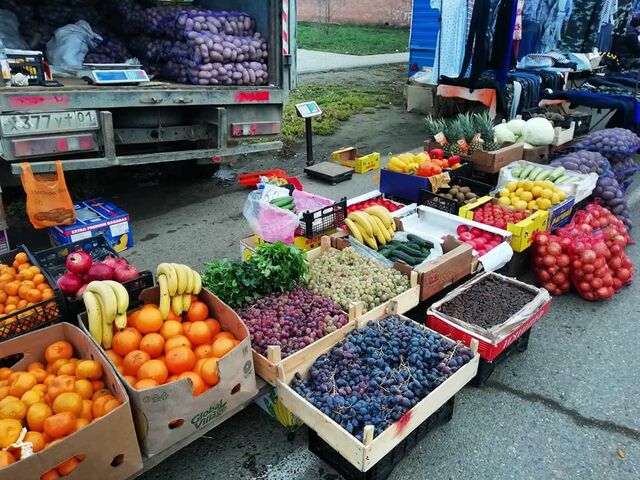 shovgenovskyi raion 77150871 1078041255870418 6030834612014477947 n