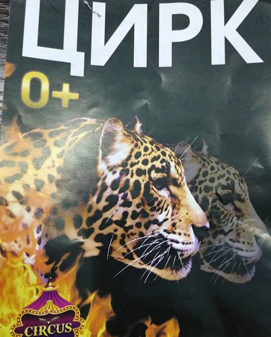 shovgenovskyi raion 52001910 1009050119437256 681192912605749877 n