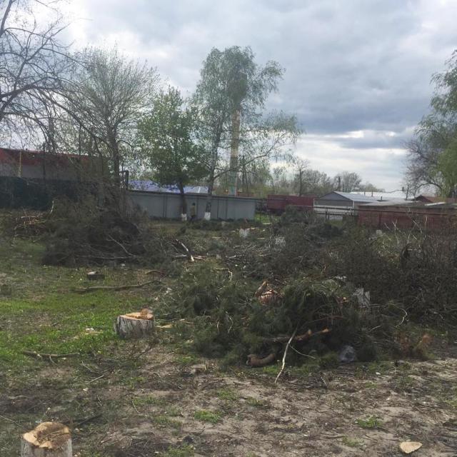 shovgenovskyi raion 56660132 802026390169134 6039912309548832350 n