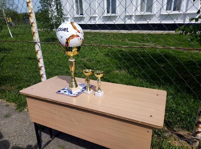 shovgenovskyi raion 57730380 418748335589873 6617295974663163821 n