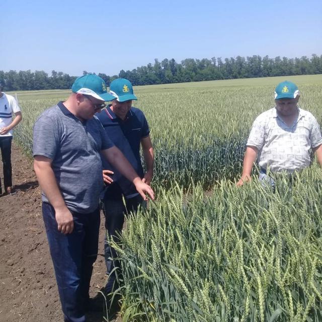 shovgenovskyi raion 60735492 310102743223480 6000905820066869960 n