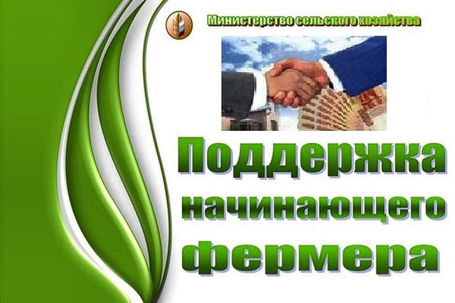 shovgenovskyi raion 75553983 145723106727994 2583227147834129005 n