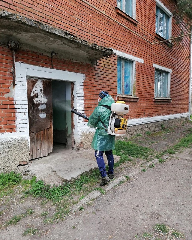 shovgenovskyi raion 91270578 555398961781182 8031009775169788481 n