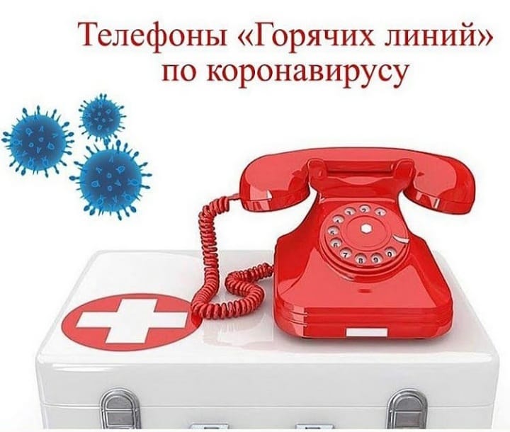 shovgenovskyi raion 122776784 2687473468179225 4473005069923563691 n