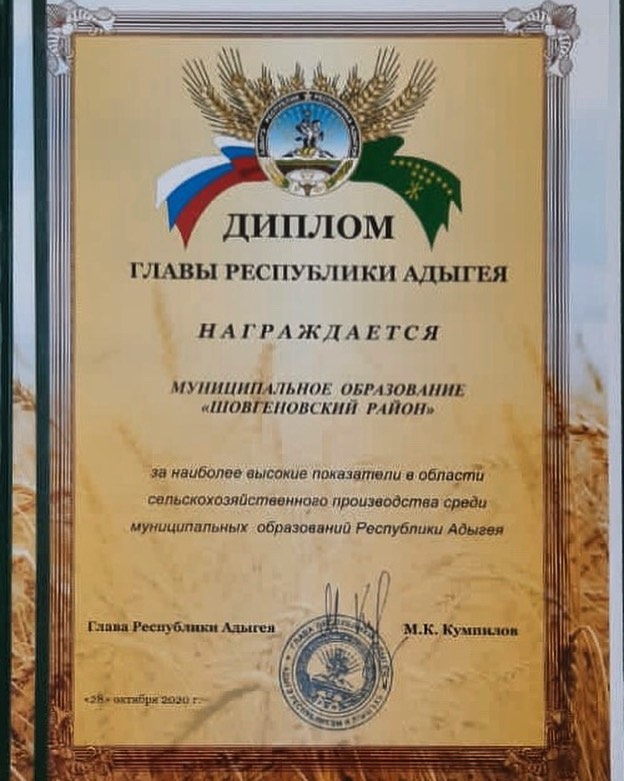 shovgenovskyi raion 123119851 1000770717067418 6277844932061291161 n 1