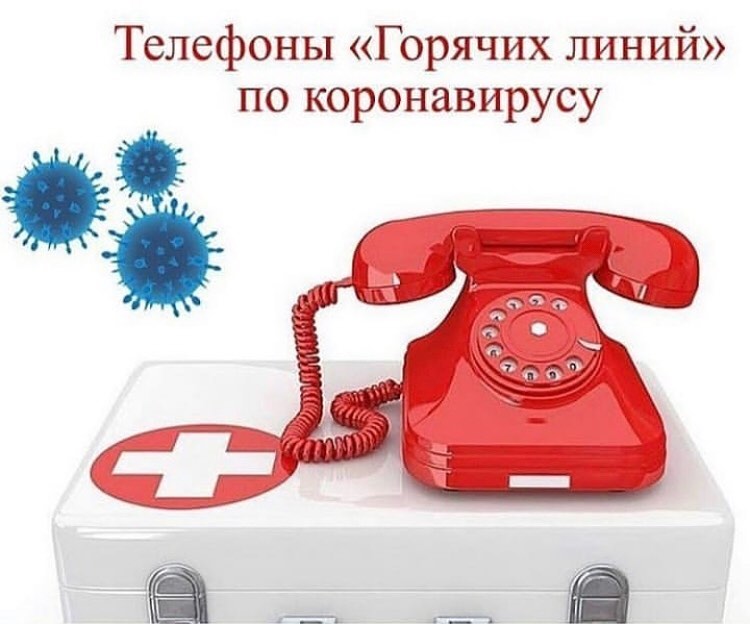 shovgenovskyi raion 124321098 709911672962588 6796801572839729775 n