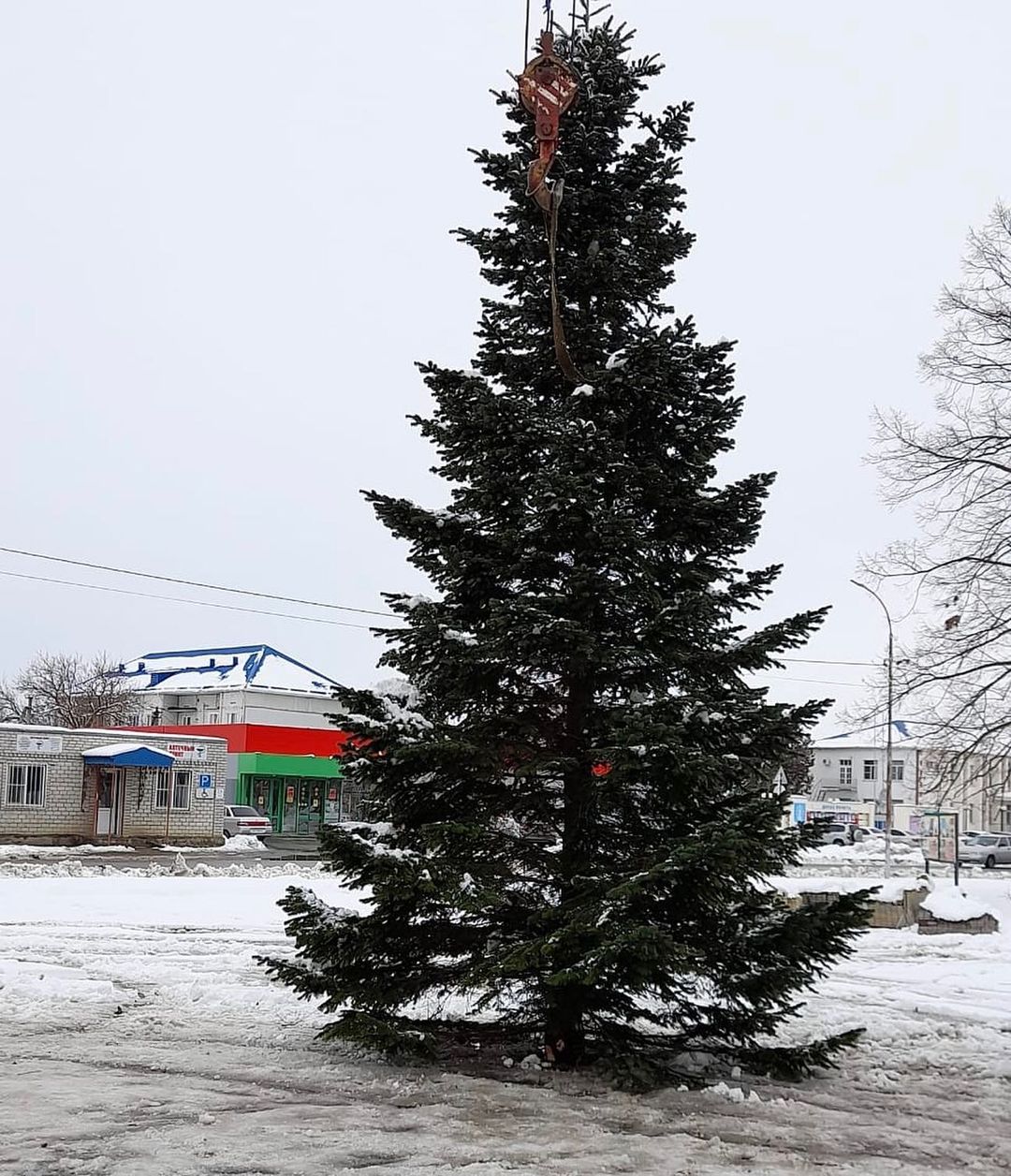 shovgenovskyi raion 131952361 299407401511935 738259235788977440 n