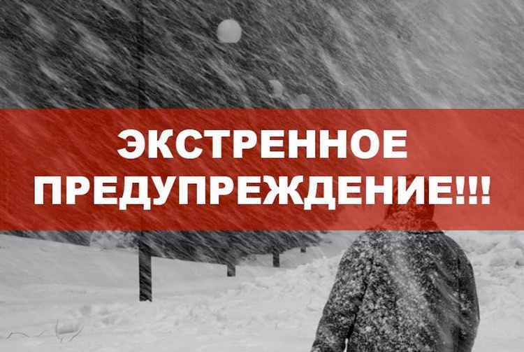 shovgenovskyi raion 149095766 2762385424023489 5714206148959286141 n