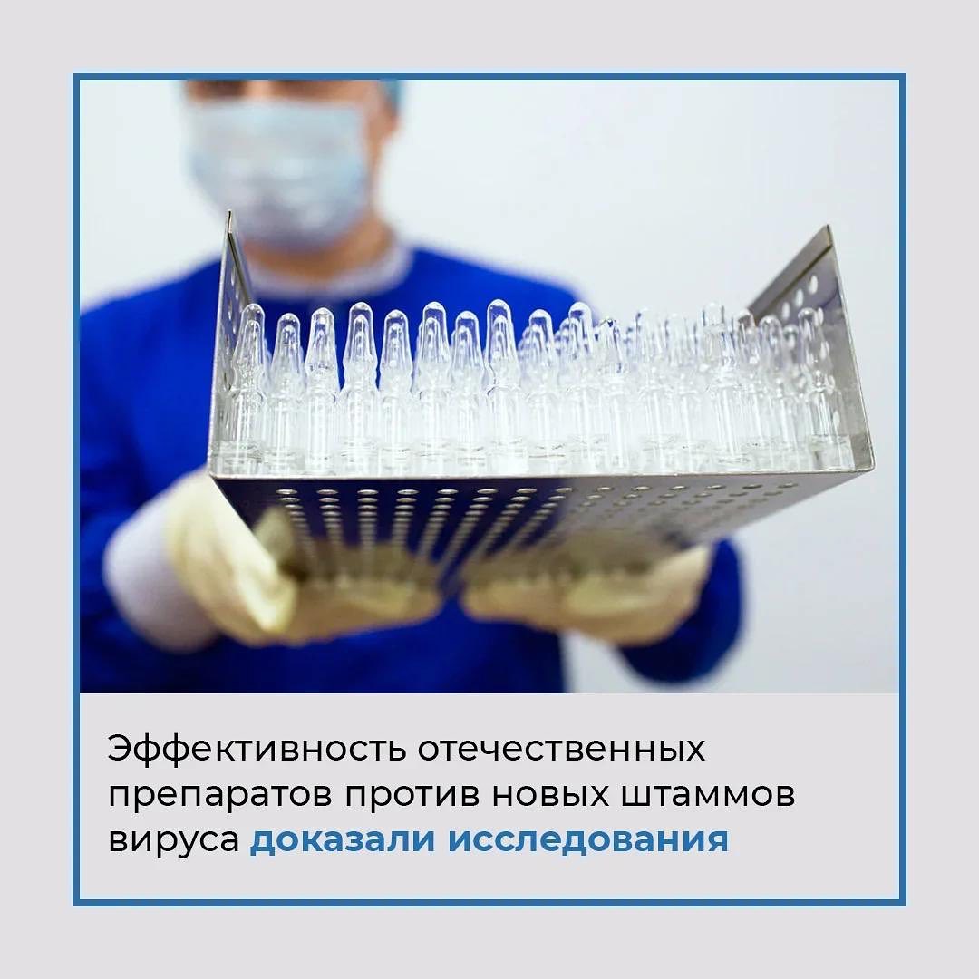shovgenovskyi raion 3141091070 639511173432661 2195118330966958226 n