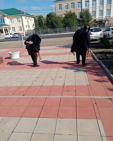 shovgenovskyi raion 244011030 222355649878090 6423666739084970 n