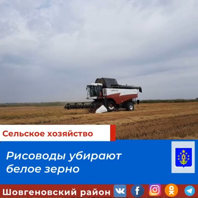 shovgenovskyi raion 247871755 399968931810735 3748583143467888115 n.mp4 snapshot 00.03.492