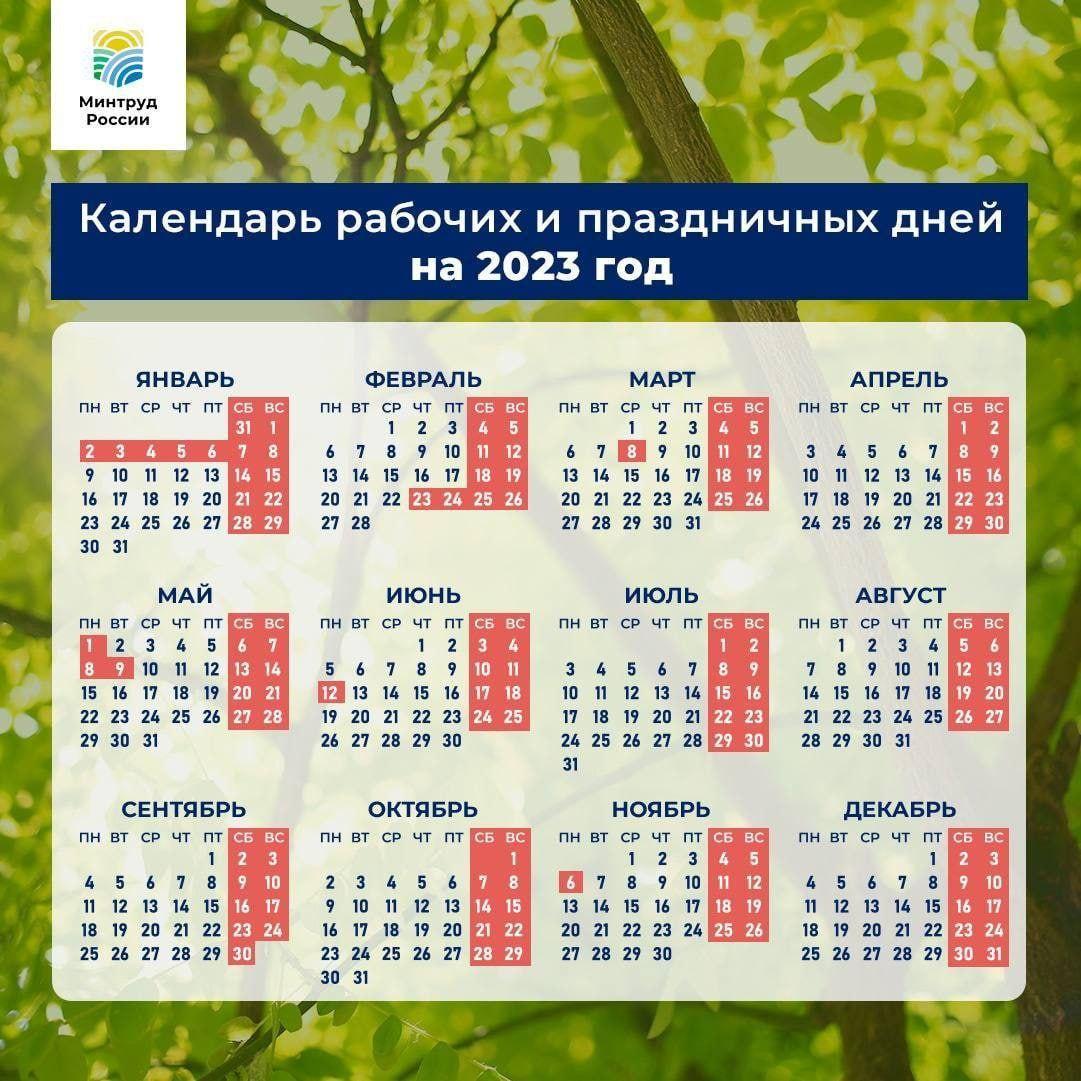 2022 11 21 3