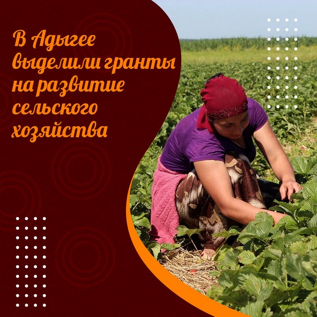 foto 2023 08 07 11 43 001