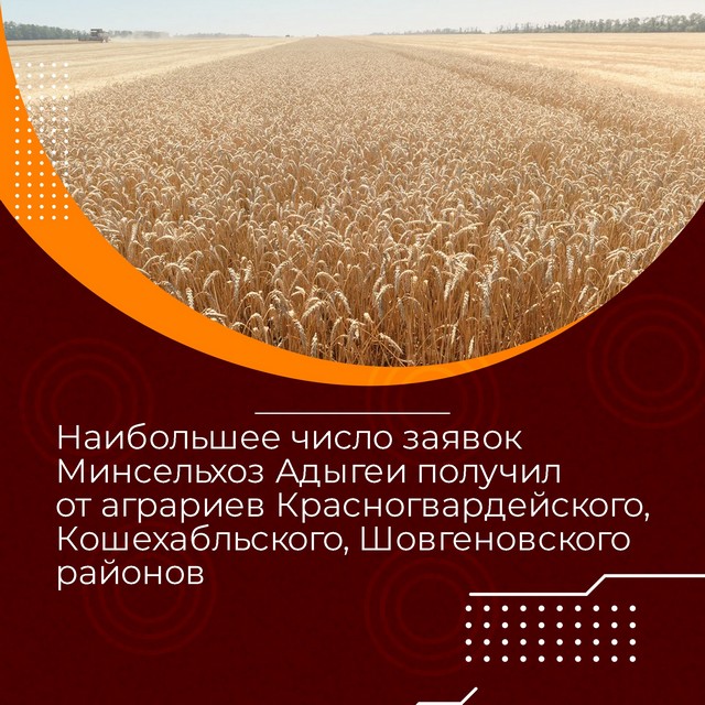 foto 2023 08 07 11 43 003