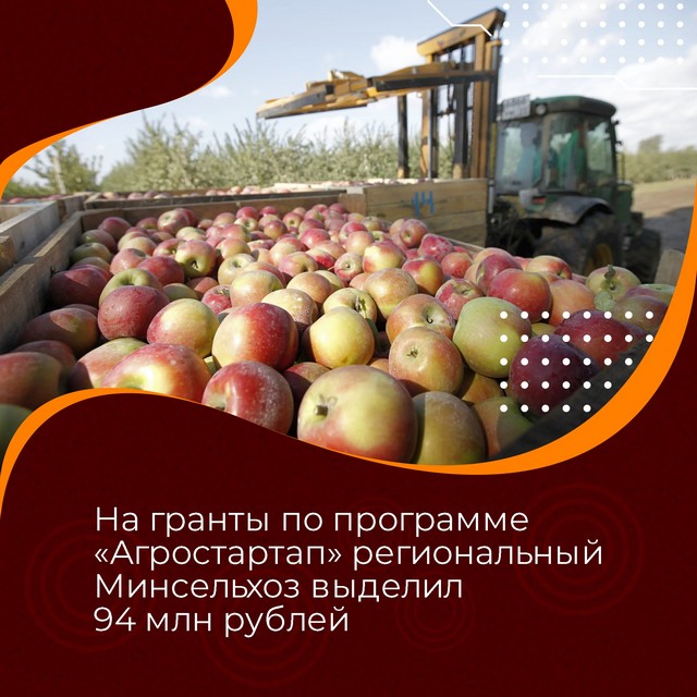 foto 2023 08 07 11 43 004