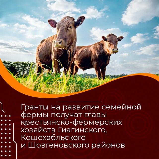 foto 2023 08 07 11 43 005