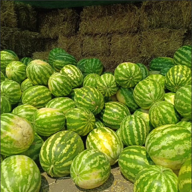 foto 2023 08 15 11 36 003