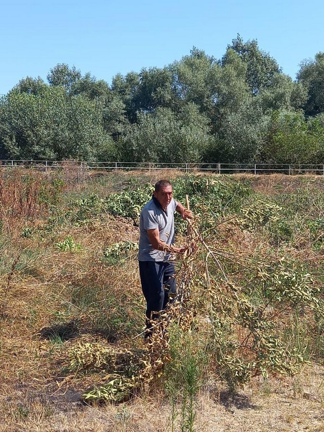 foto 2023 09 04 15 54 005