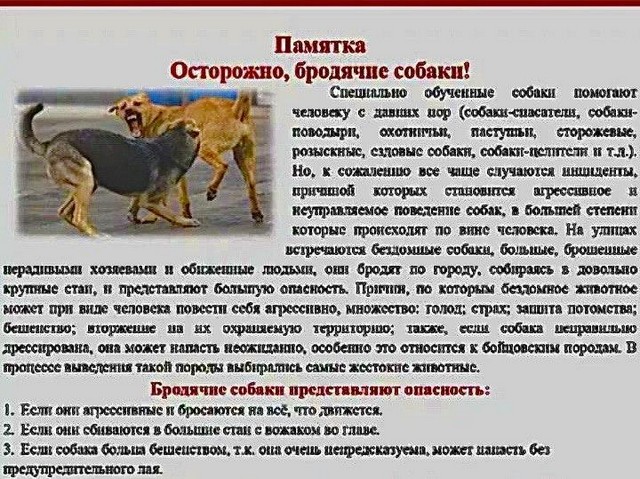foto 2023 09 25 14 14 002
