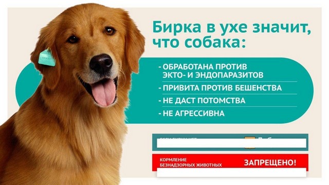 foto 2023 09 25 14 14 005