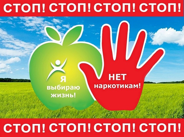 photo 5233426163257429787 y