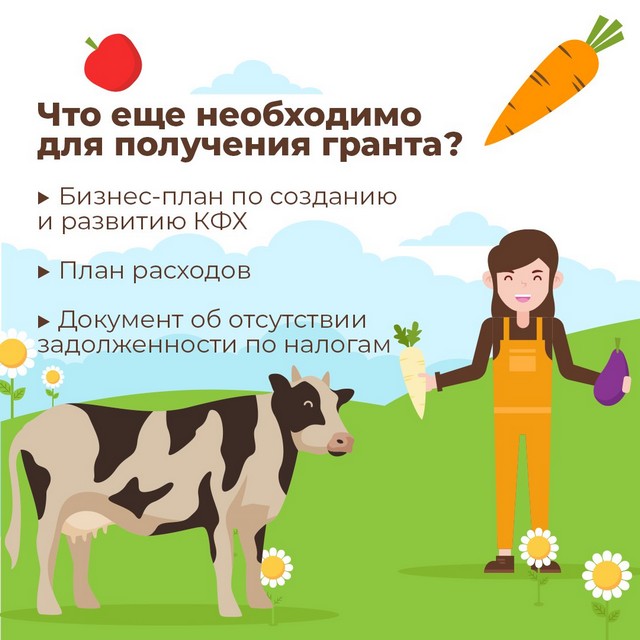 foto 2023 11 13 12 00 002