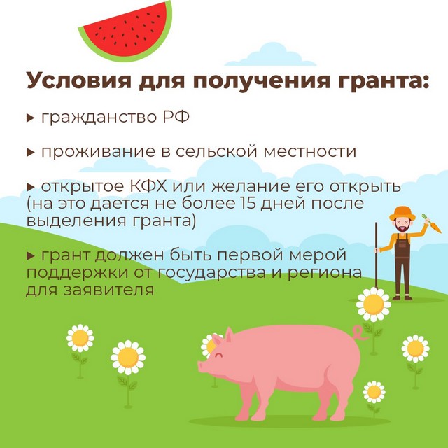 foto 2023 11 13 12 00 004