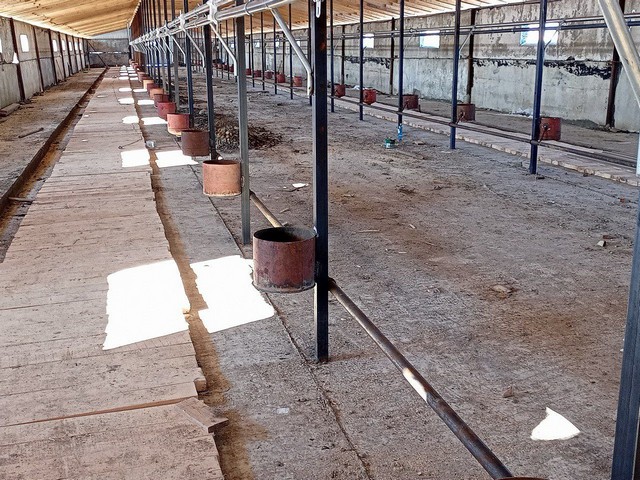 foto 2024 01 29 17 24 001