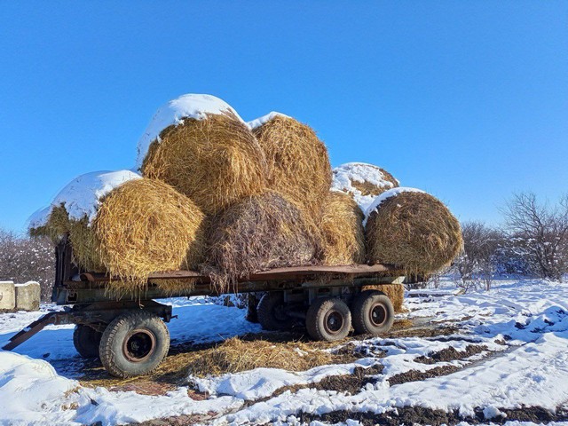 foto 2024 01 29 17 24 004