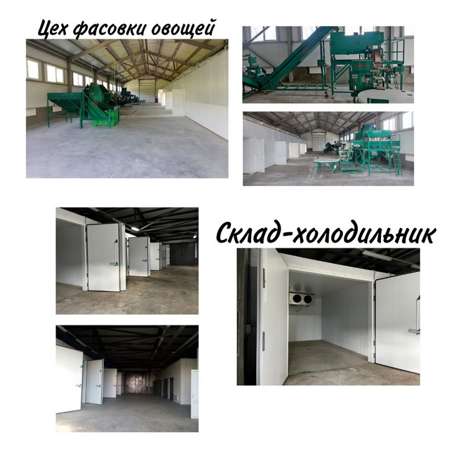 foto 2025 06 04 17 23 001