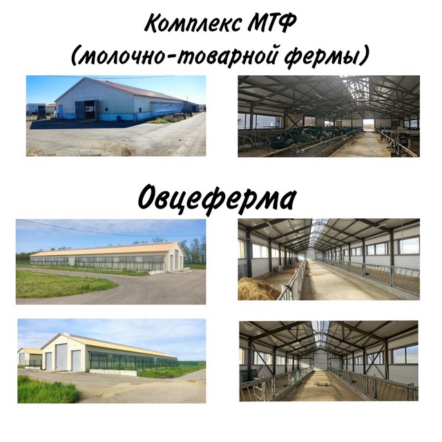foto 2025 06 04 17 23 002