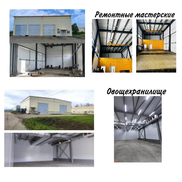 foto 2025 06 04 17 23 004